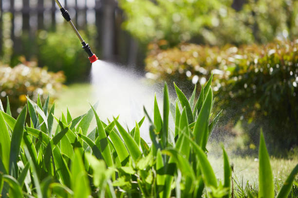 Tamper-Resistant Bait Stations for Rodents in Long Lake
