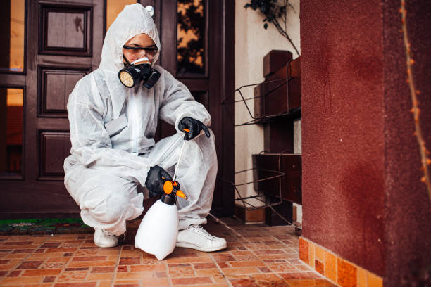 Attic and Crawl Space Rodent Treatment in Long Lake