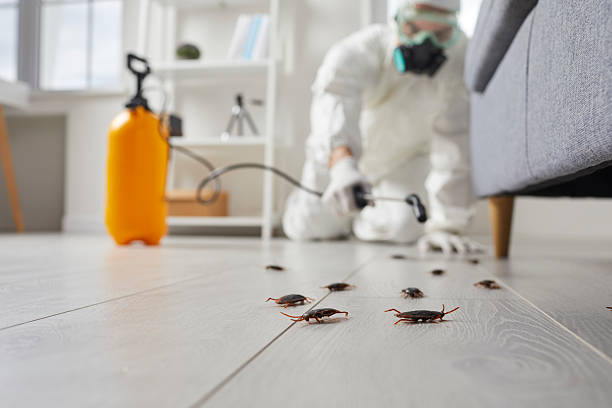 Commercial Rodent Management in Long Lake